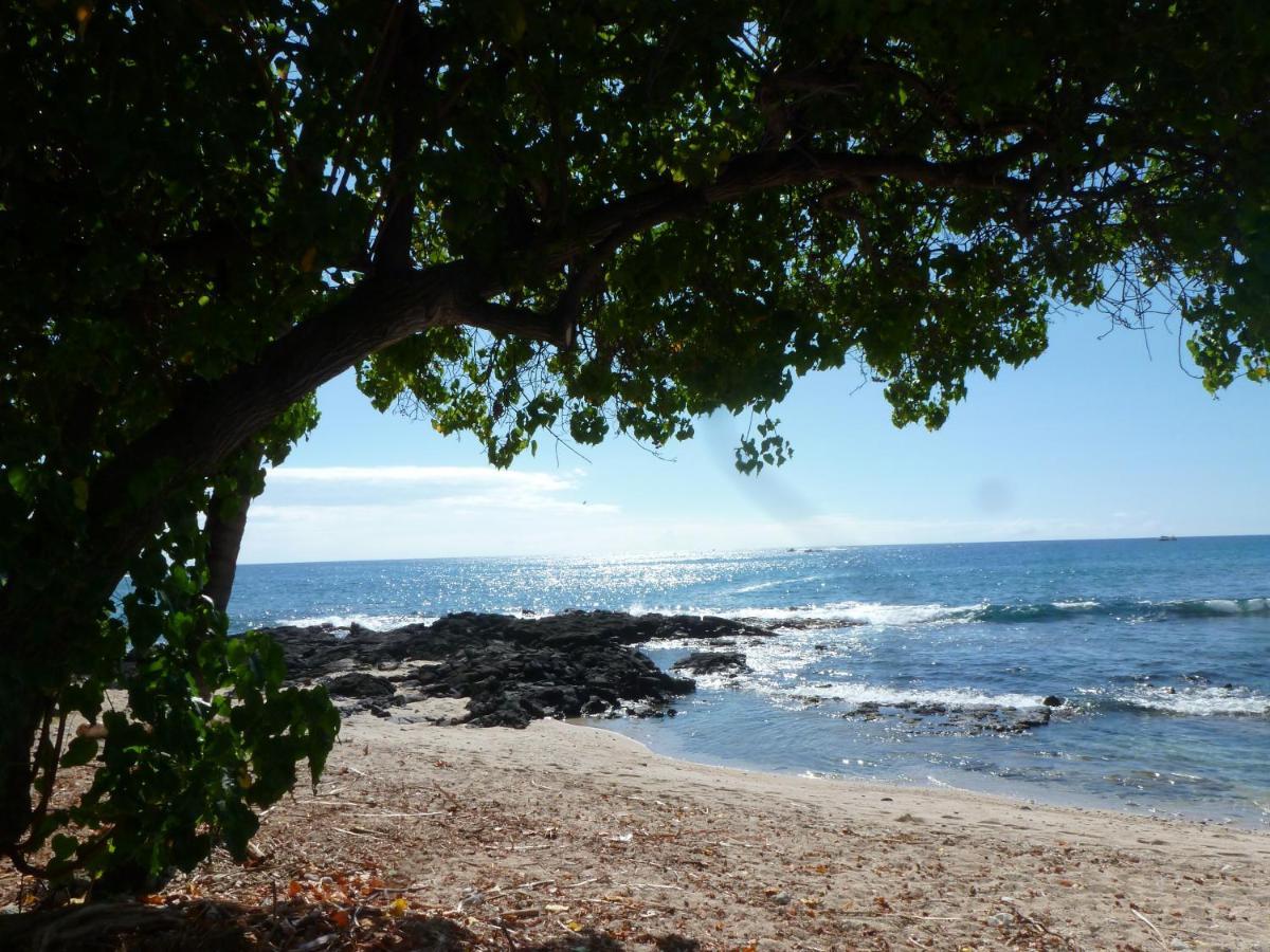 Downtown Hawaiian Paradise Condo With Hot Tub, Pool & Beach - Kona Islander Inn Kailua-Kona Exterior foto